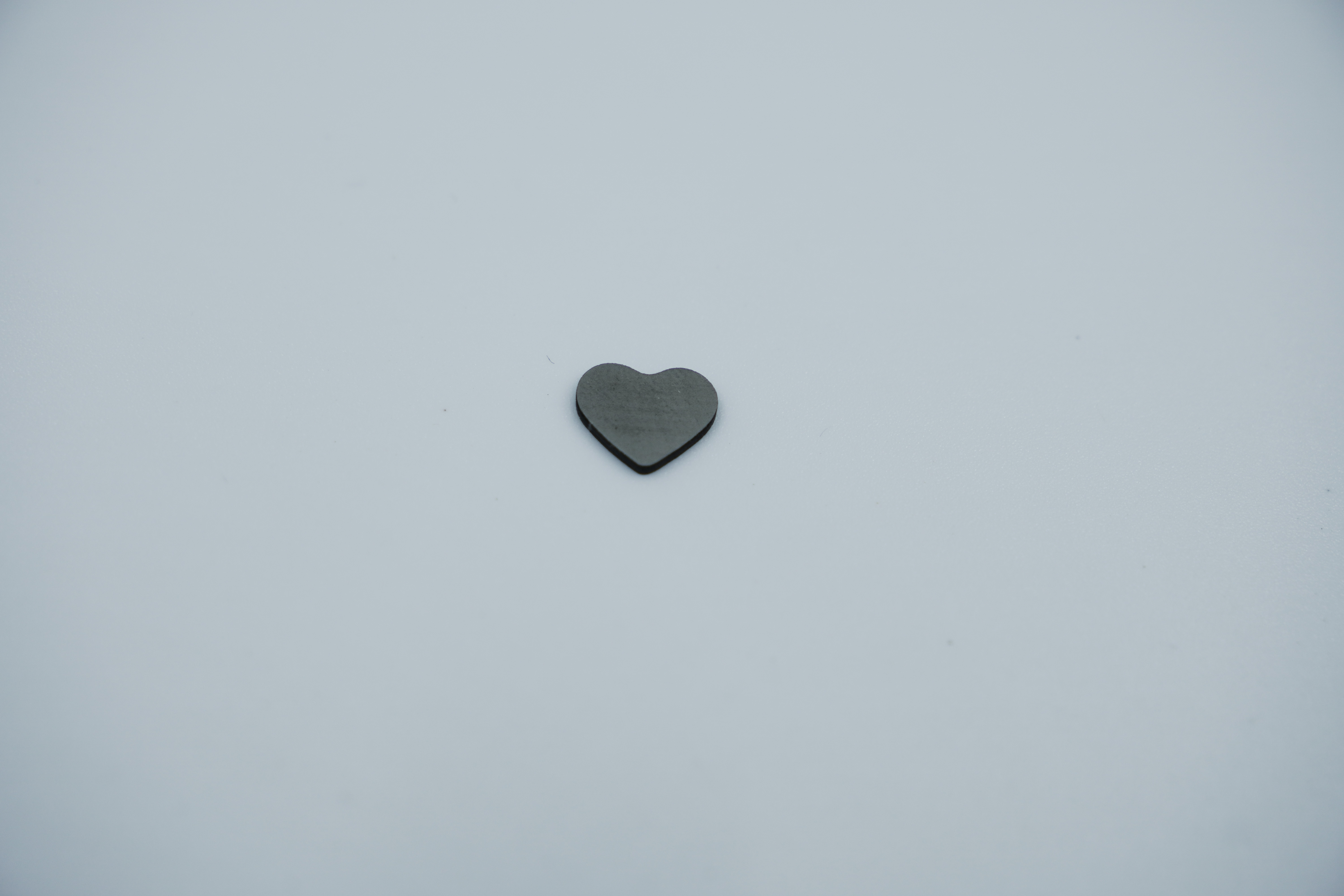 DSC00045.JPG